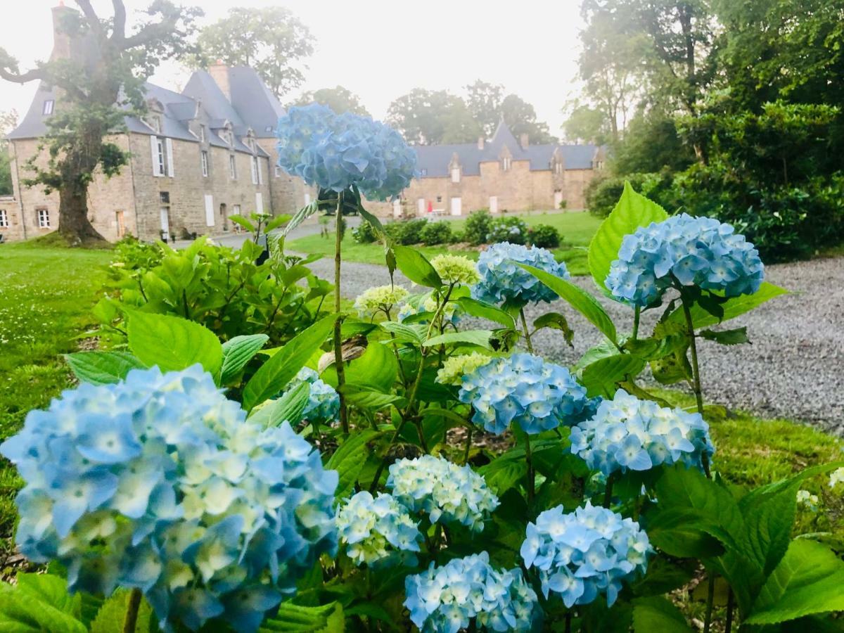 Bed & Breakfast D'hotes Chateau De La Croix Chemin 4*
